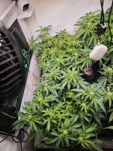 MVIMG_20251022_164750