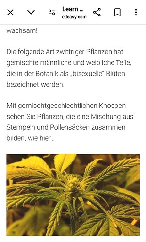Growreport Bild 19