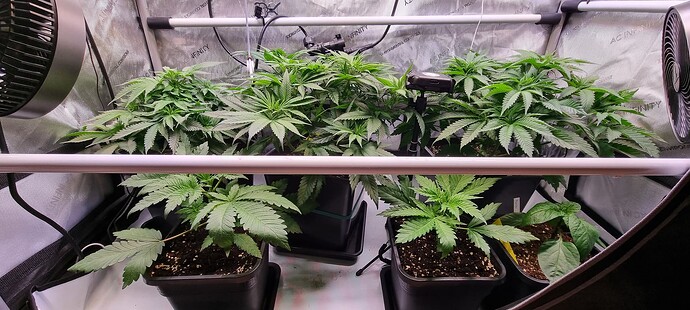 Growreport Bild 26