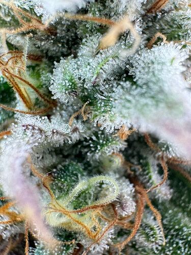 05a41f81-6add-4460-a898-1b233f33d536