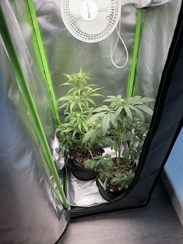 Growreport Bild 19
