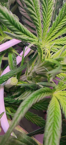 Screenshot_2026-02-13-07-35-37-73_92460851df6f172a4592fca41cc2d2e6