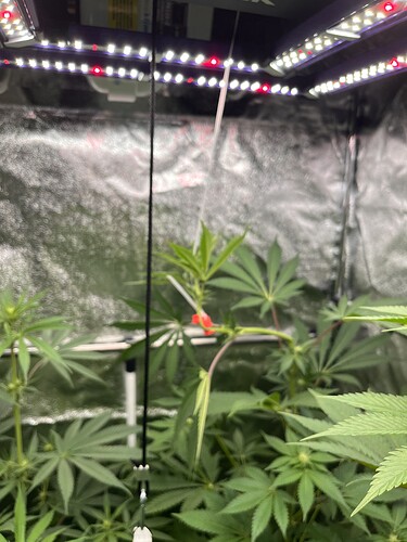 Growreport Bild 10