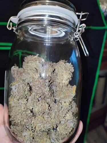 Growreport Bild 15