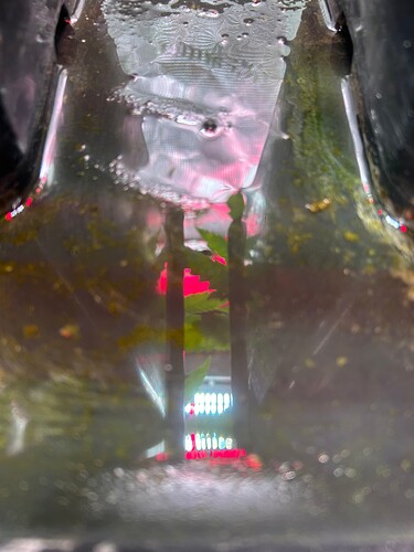 Growreport Bild 12