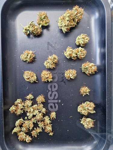 Growreport Bild 16