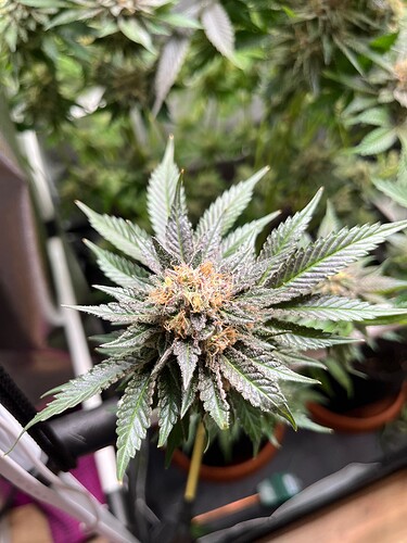 Growreport Bild 10