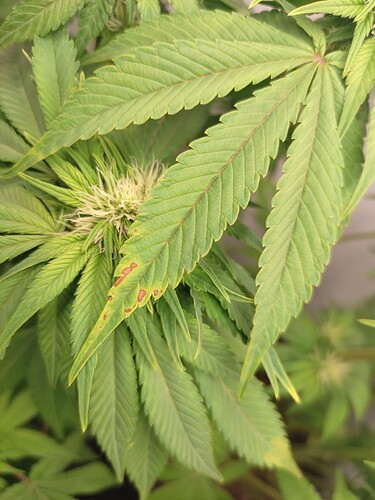 Growreport Bild 12