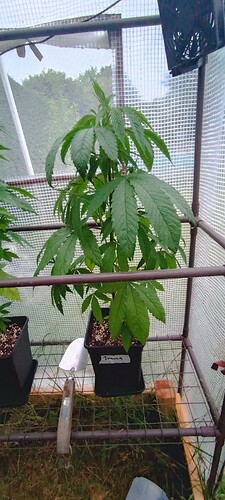 IMG_20240621_213429