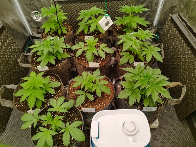 Growreport Bild 3