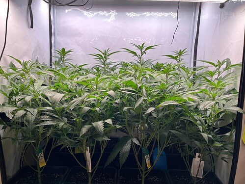 Growreport Bild 10