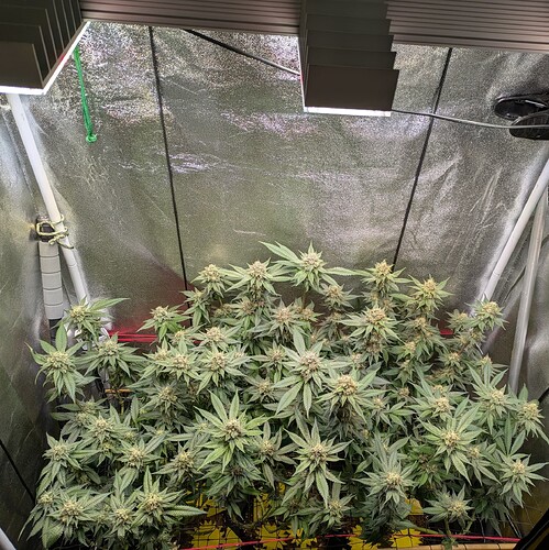 Growreport Bild 5