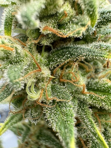 Growreport Bild 4
