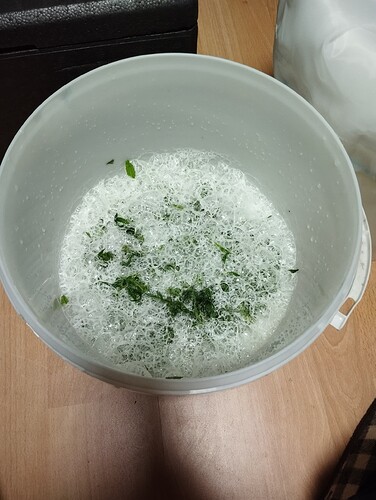 IMG_20241105_210148 - Kopie