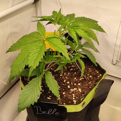 Growreport Bild 10