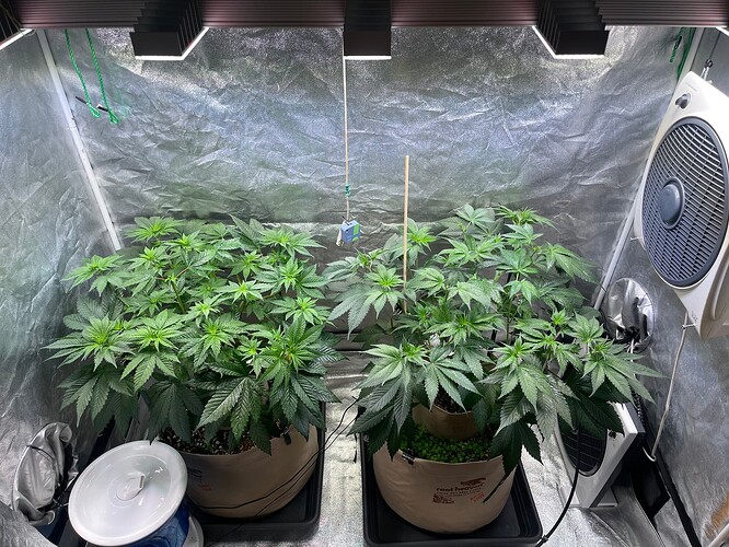 Growreport Bild 10