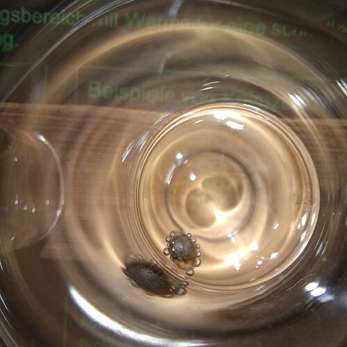 Growreport Bild 19