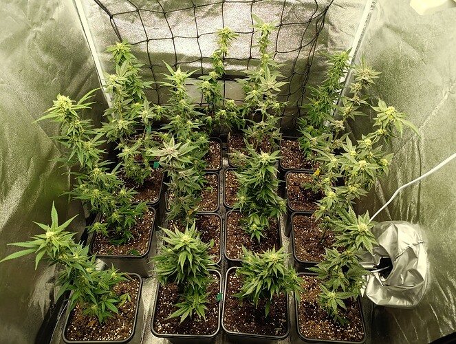 Growreport Bild 8