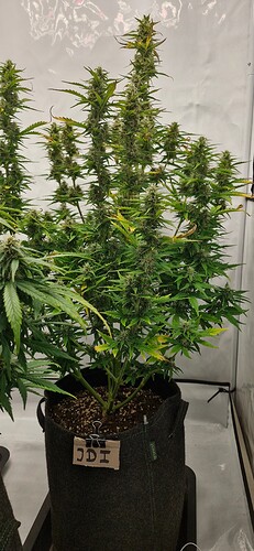 Growreport Bild 5