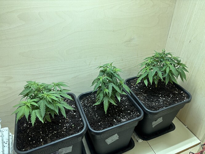 Growreport Bild 11