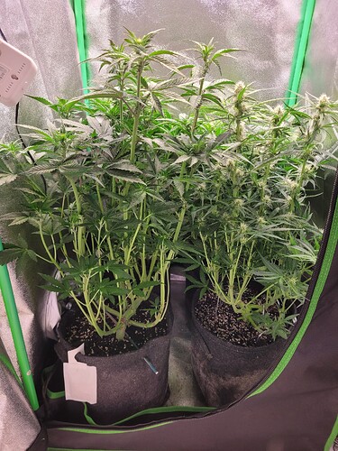 Growreport Bild 12