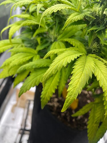 Growreport Bild 16