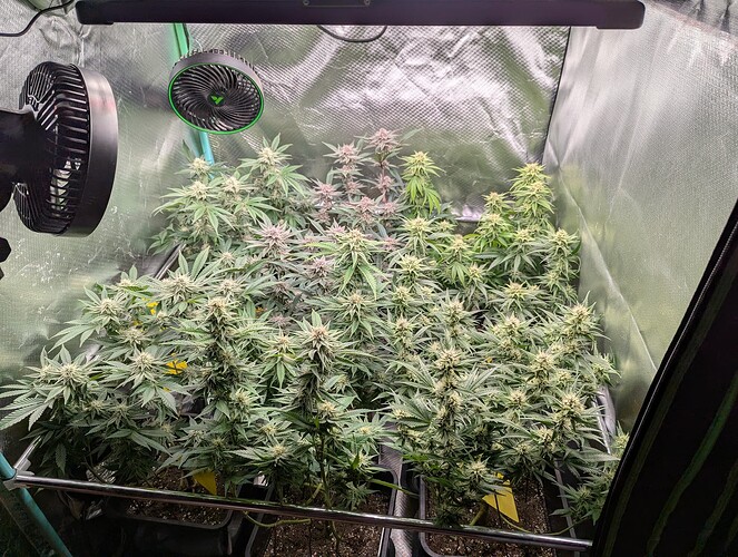 Growreport Bild 1