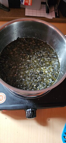 Growreport Bild 49
