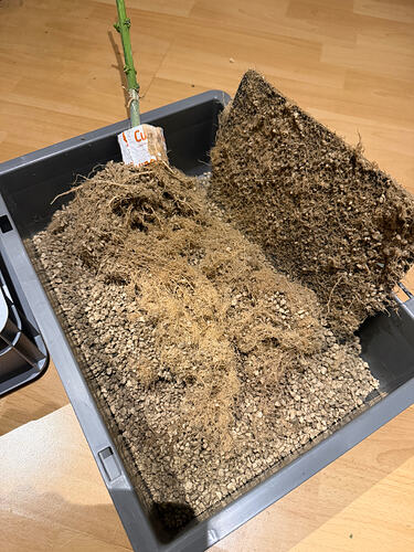 Growreport Bild 2