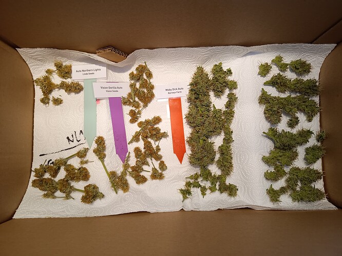 Growreport Bild 12