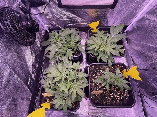 Growreport Bild 18