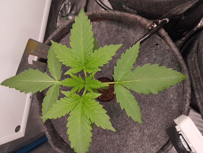 Growreport Bild 9