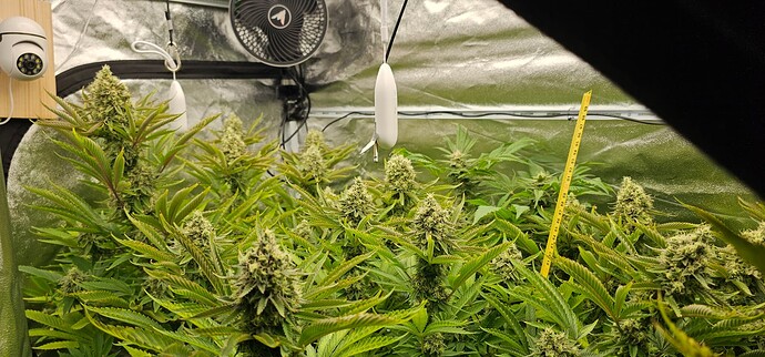 Growreport Bild 2