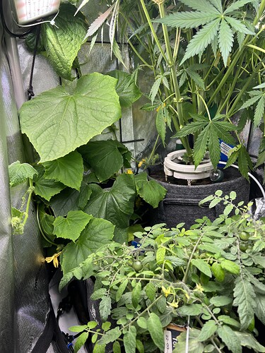 Growreport Bild 22