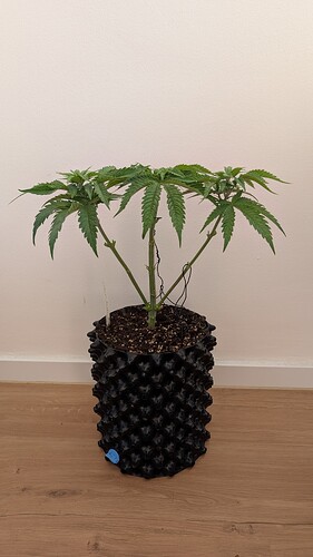 Growreport Bild 12