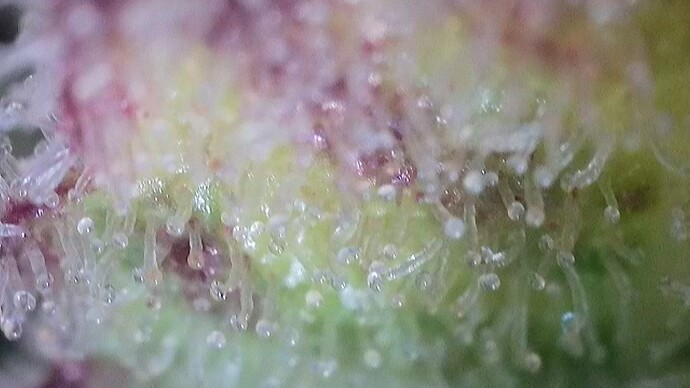 Growreport Bild 22
