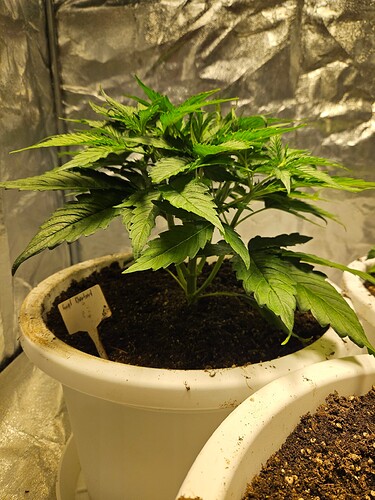 Growreport Bild 12