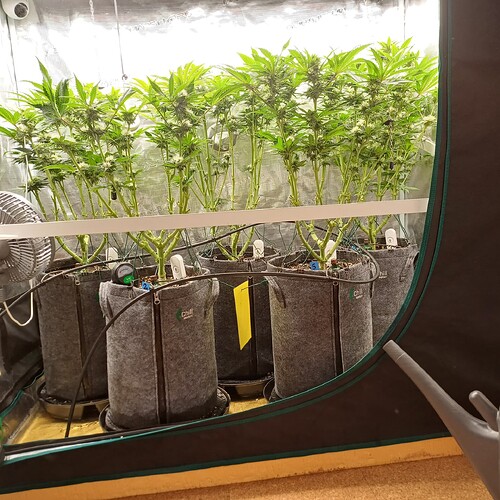 Growreport Bild 16