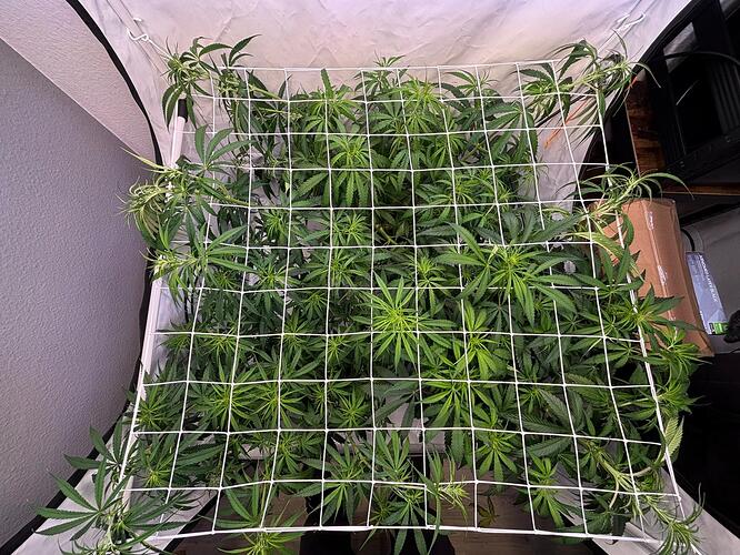 Growreport Bild 6