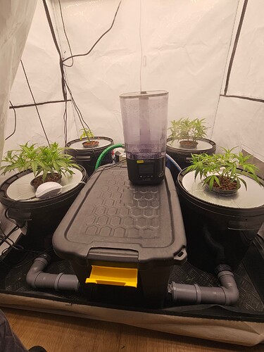 Growreport Bild 22
