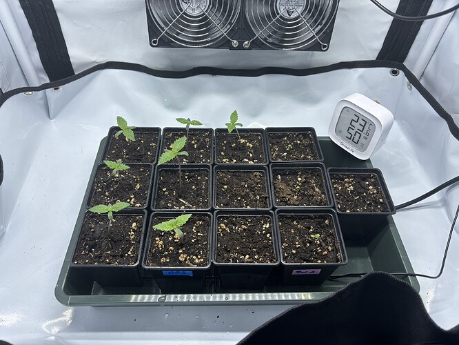 Growreport Bild 18