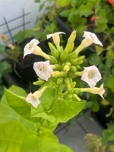 Growreport Bild 10