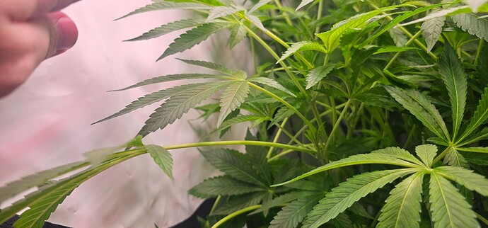 Growreport Bild 11