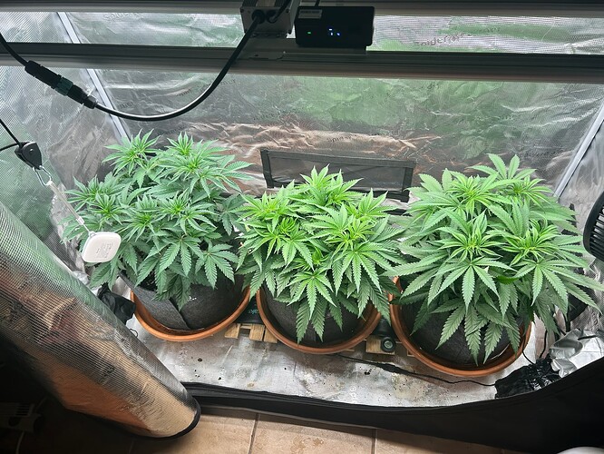 Growreport Bild 24
