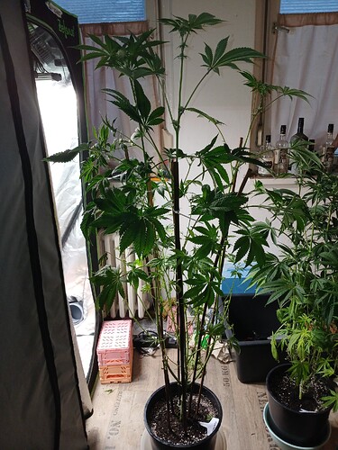 Growreport Bild 13