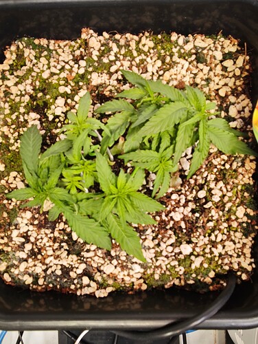 MVIMG_20251007_205023