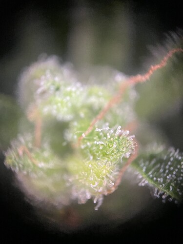 Growreport Bild 23