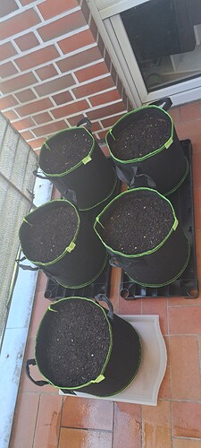 Growreport Bild 57