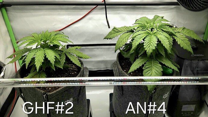 Growreport Bild 21