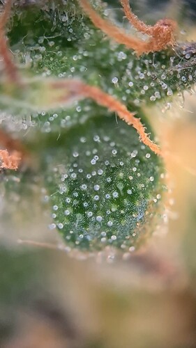 VideoCapture_20240618-174339